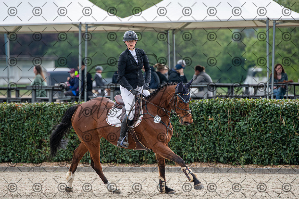 KPT_3533 | andre_photographic