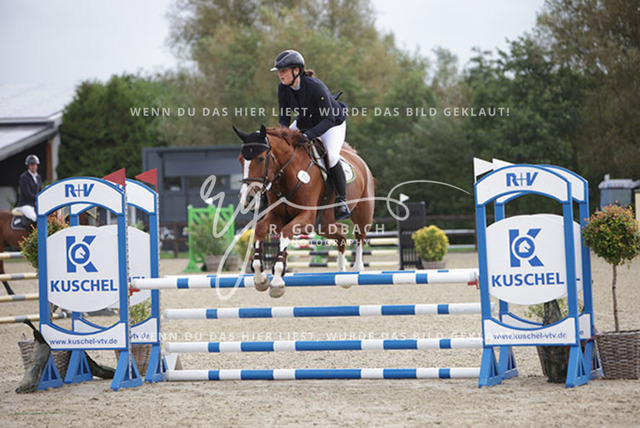 1J2A8972Alisa Dron_ Nara VA_ Kn772_ Havekost | Foto- und Videografie für alles rund ums Pferd. Hochwertige Bilder und Videos vom Spring- und Dressurreiten, Voltigieren & mehr. Jetzt aktuelle Veranstaltungen und Preise im Shop ansehen. - Realisiert mit Pictrs.com