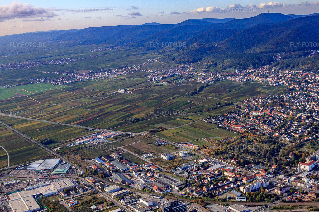 Luftbild: Lachener Straße in Neustadt an der Weinstraße im Bundesland Rheinland-Pfalz in Deutschland. Foto: IMG_22070.jpg vom 15.10.2009 durch Werner Riehm/FLY-FOTO.de