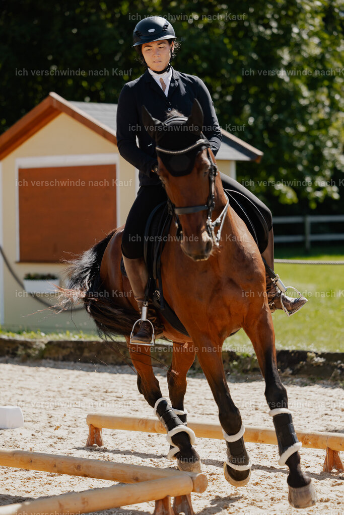 Nadine22_FHC2025-56 | working equitationturnier fotograf videograf stoibphotography marixx film working equitation deutschland reitsport turnierfotografie eventfotografie equestrian events