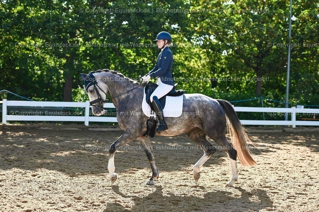 20230715_06_Dressurpferdeprfg. Kl.A_0297 | equistock