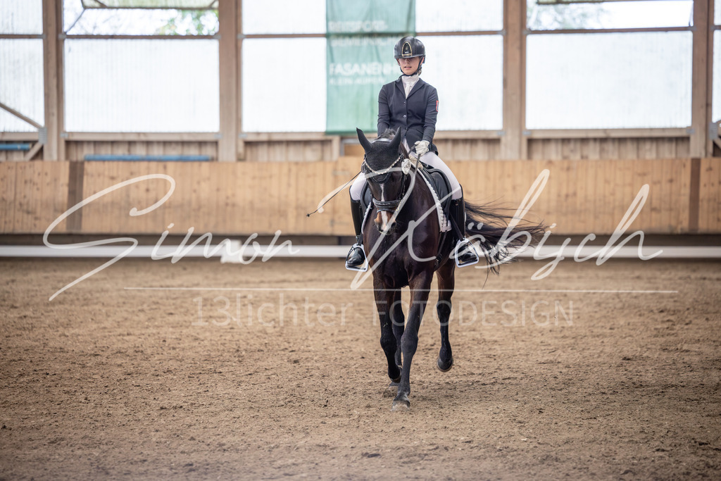 20251011-_3LI0251 | Tierfotografie Pferde, Hunde, Katzen, Haustiere.
Turnierfotografie Reitturniere, Reiten, Springreiten, Dressur in Hanau, dem Main-Kinzig-Kreis und dem Rhein-Main- Gebiet um Frankfurt