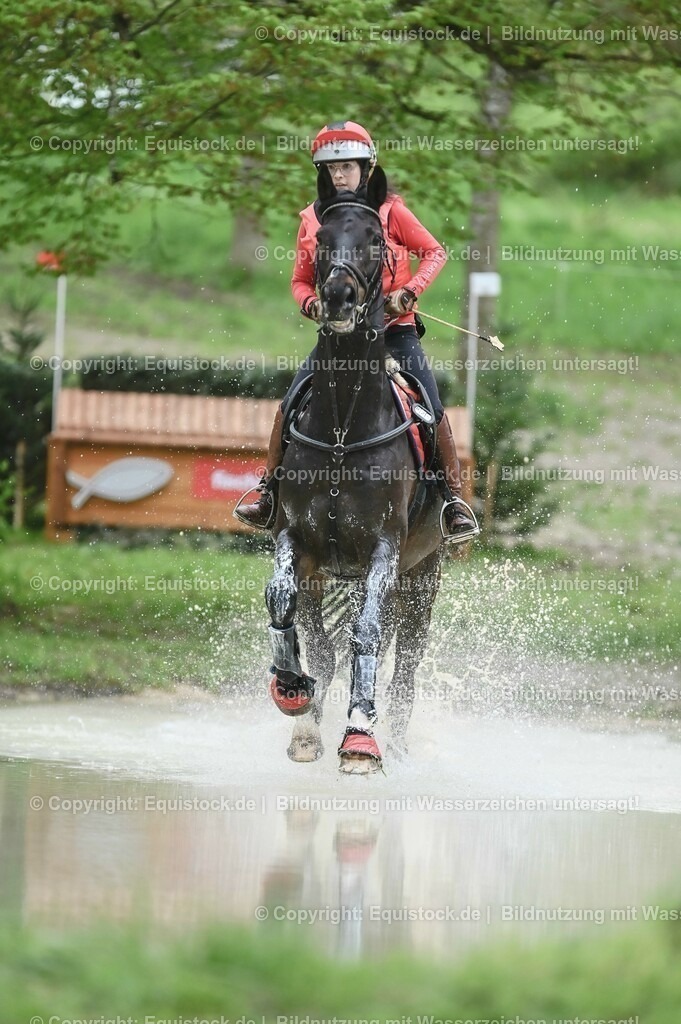 20230513_CCI2_Section1_0027 | equistock