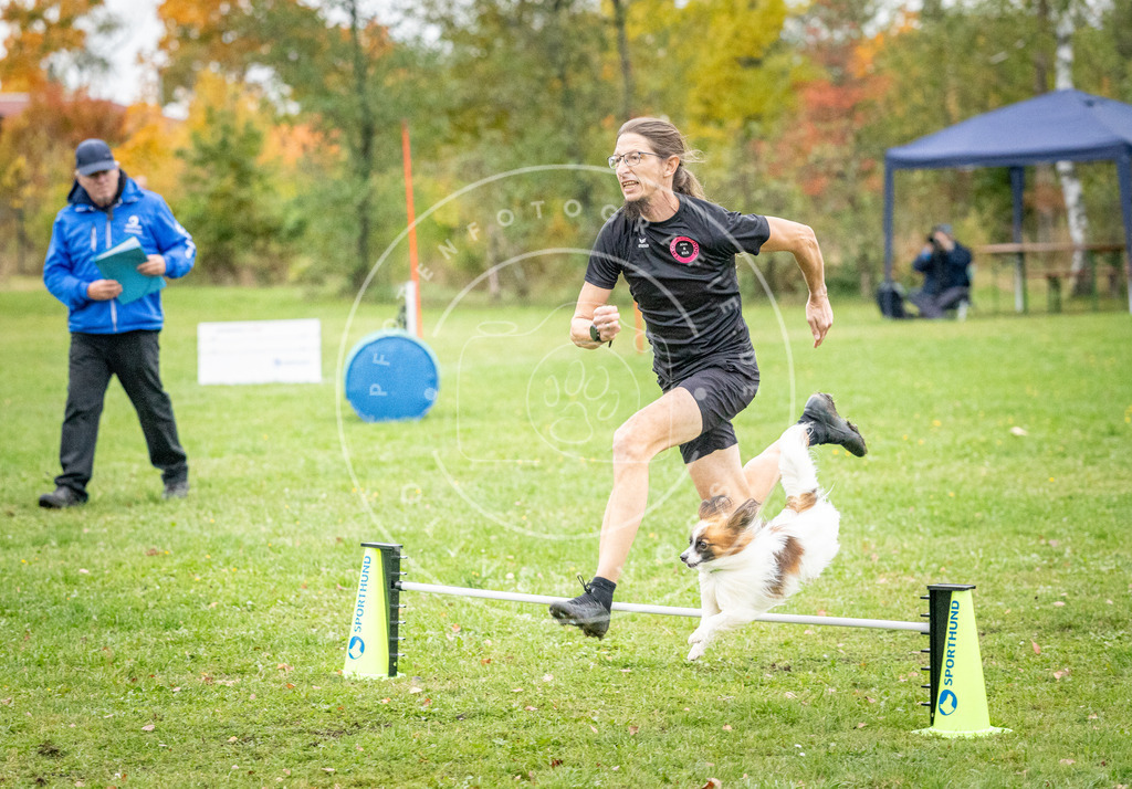 Pfotenfotografie_DV3A0762 | Hundefotografie, Tierfotograf, Pfotenfotografie, Fotoshooting Hund, Hunde Portrait, Hundesport, Hundeportraits, Heideshooting, Hunde, Sportfotograf, Hundefotograf, Turnierhundsport, THS,  - Realisiert mit Pictrs.com