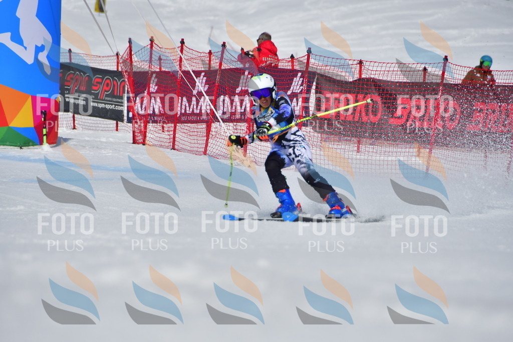 _DSC7196 | holidayphoto