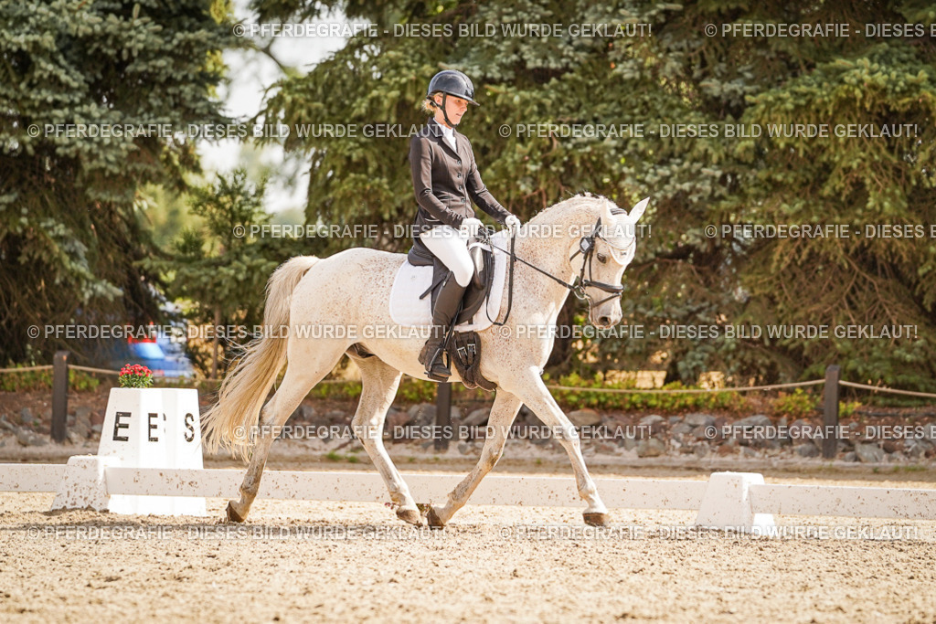 DSC01298 | Pferdegrafie