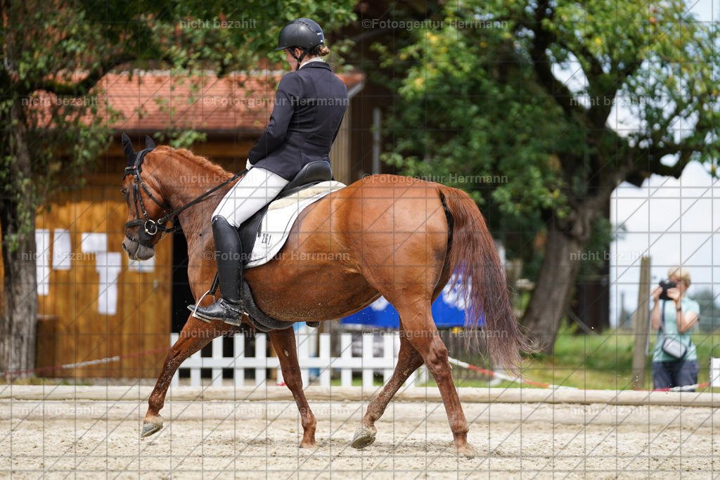 20230826-FAH05625 | Forstinning, 2023, Dressurturnier, Turniersportbilder, Turnierfotografen Bayern, Fotoagentur Herrmann, Reitsportfotografie, Turnierbilder
