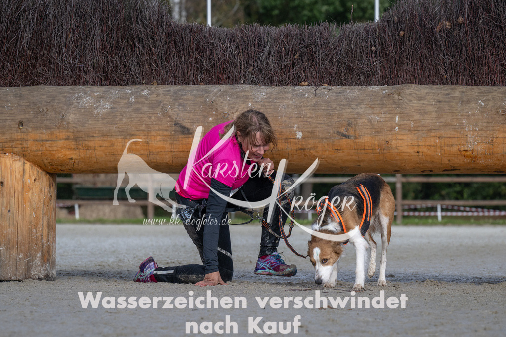 1124-94243 | kk-dogfotos