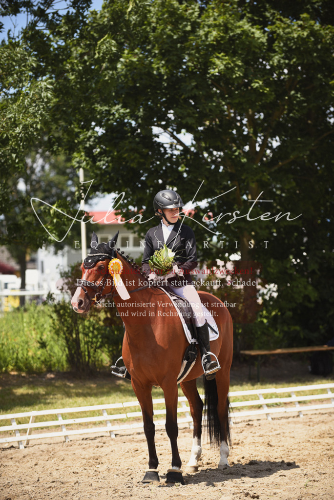 DSC_1581 | Pferde- und Turnierfotografie in Westsachsen. Pferdeportraits, Auftragszeichnungen und intuitive Kunst.