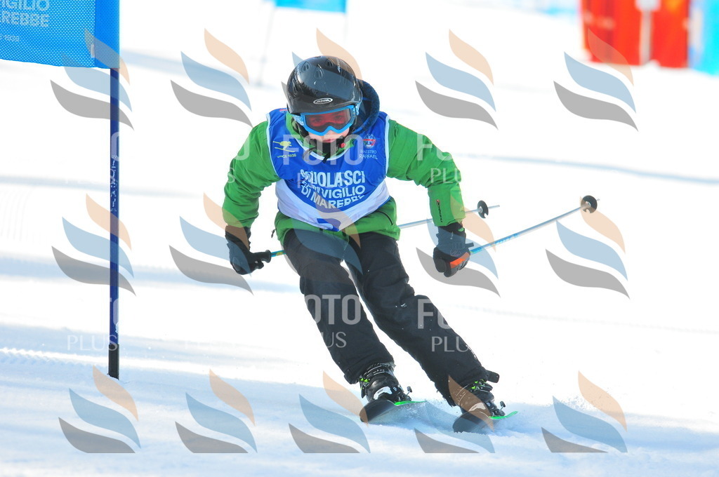 B8786 | holidayphoto