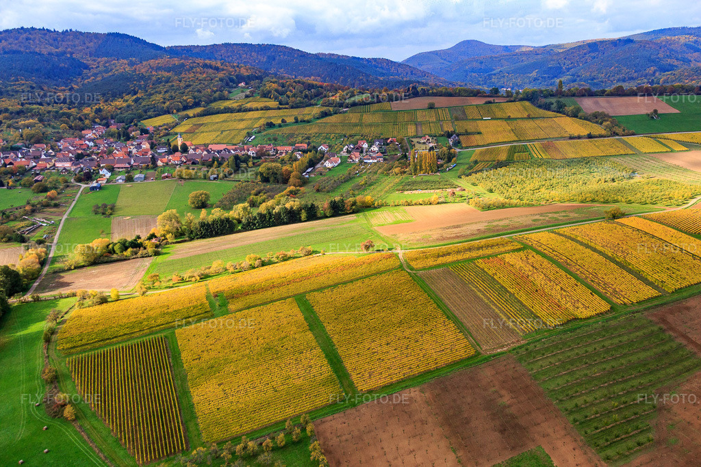 Luftbild: Ortsansicht aus Südwesten in Rott im Bundesland Bas-Rhin in Frankreich. – Foto: IMG_084597.jpg vom 23.10.2015 durch Werner Riehm/FLY-FOTO.de – Auflösung des Originals: 5472 x 3648 px