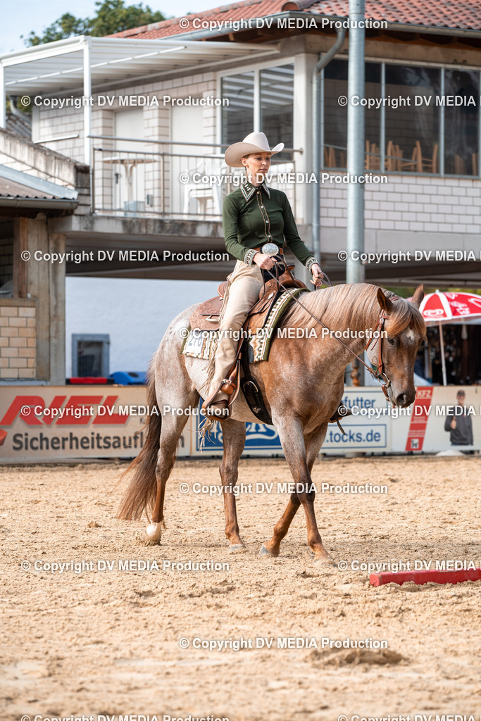 EWP_5721 | dv-media-shop - Realisiert mit Pictrs.com