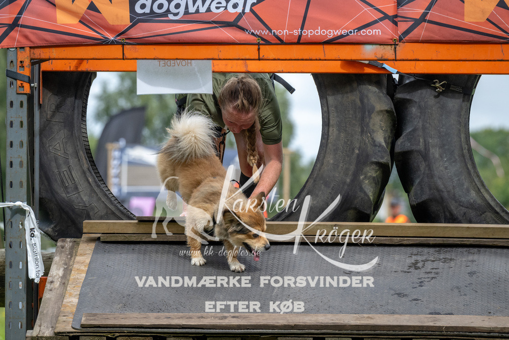 1152_ZZ93135 | kk-dogfotos