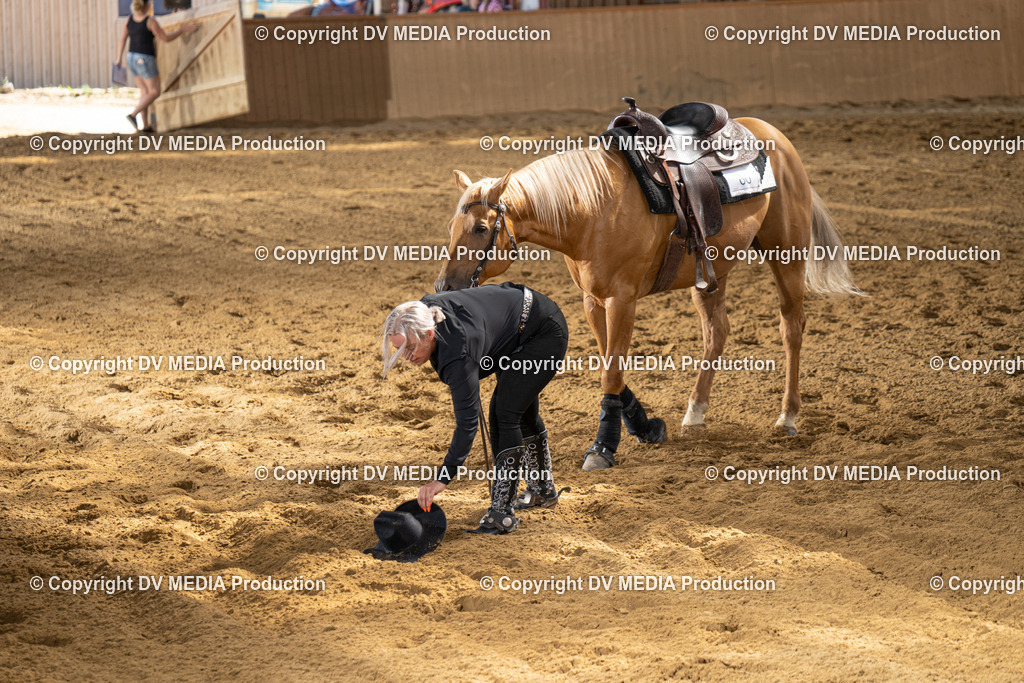 DSC00099 | dv-media-shop - Realisiert mit Pictrs.com