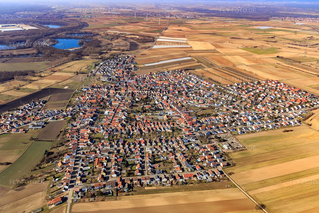 Luftbild: Ortsansicht aus Osten im Ortsteil Mechtersheim in Römerberg im Bundesland Rheinland-Pfalz in Deutschland. Foto: IMG_112853.jpg vom 27.02.2019 durch Werner Riehm/FLY-FOTO.de