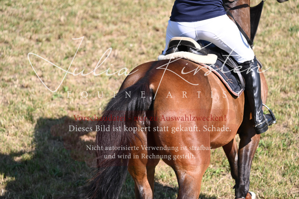 DSC_2141 | Pferde- und Turnierfotografie in Westsachsen. Pferdeportraits, Auftragszeichnungen und intuitive Kunst.