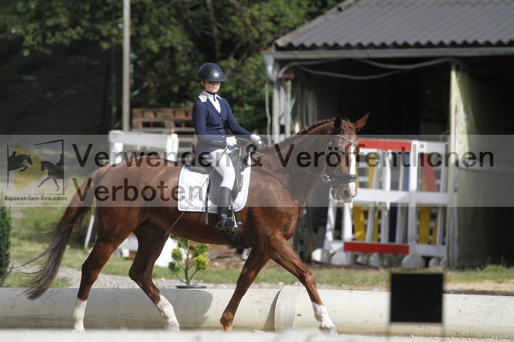 _MG_0231 | equestrian-live-com