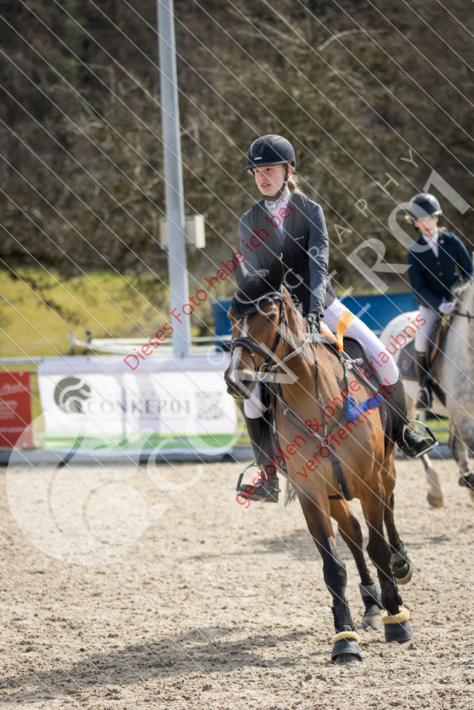 IMG_4570 | Sport-, Event- und Tierfotos in Profiqualität. Einfach auswählen, bestellen und herunterladen. Dein Moment – perfekt festgehalten.