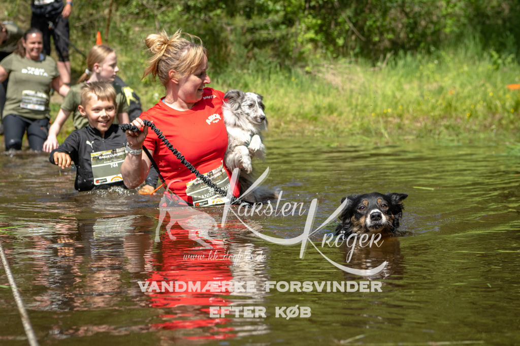 1212DKK992147 | kk-dogfotos