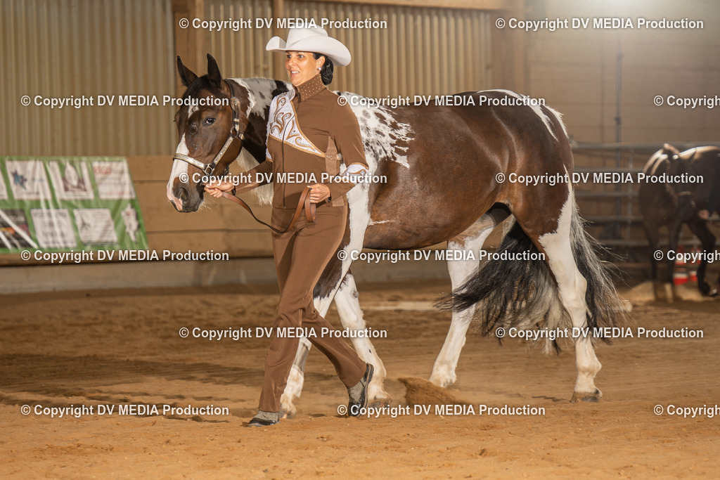 NID02446 | dv-media-shop - Realisiert mit Pictrs.com