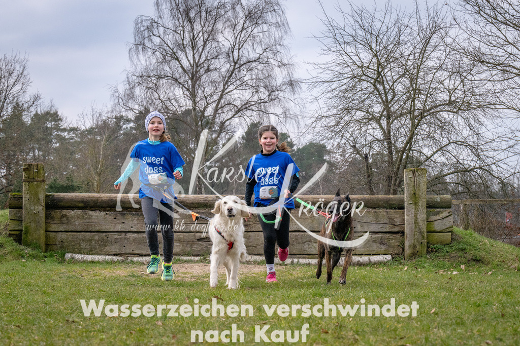 _ZZ91718 | kk-dogfotos