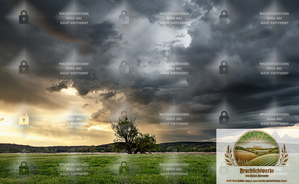 Baumdrama | Professioneller Fotograf mit 10 Jahren Erfahrung. Landschafts- und Hochzeitsfotografie im Oderbruch. Workshops und beeindruckende Bilder für besondere Momente.