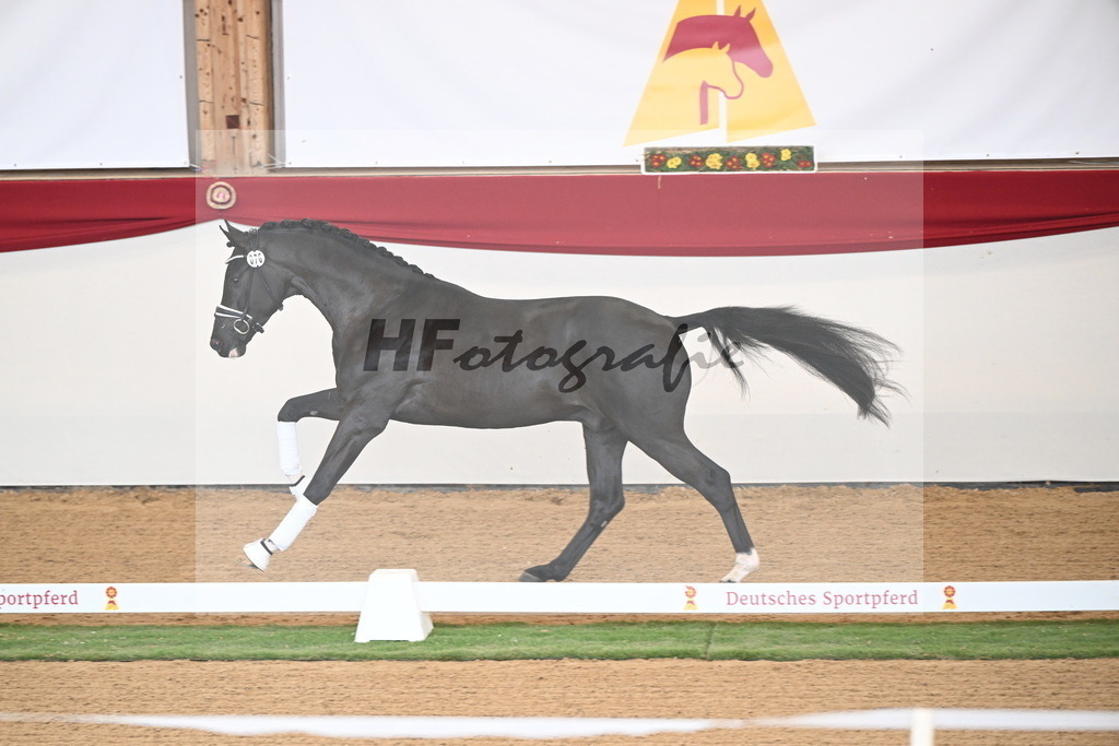 Kat.-Nr. 76 v. Secret_Maucher_2250687 | hf-fotografie - Realisiert mit Pictrs.com