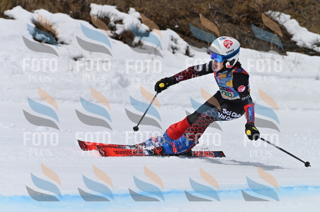 BGV_3817 | holidayphoto