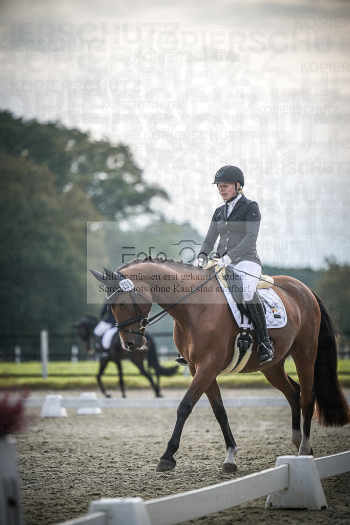 DOS_B202 | Entdecke hochwertige Reitturnierfotos von Foto Oger. Professionell, emotional und authentisch – jetzt Lieblingsmomente im Shop bestellen.Deutschlandweite Turnierfotografie. - Realisiert mit Pictrs.com