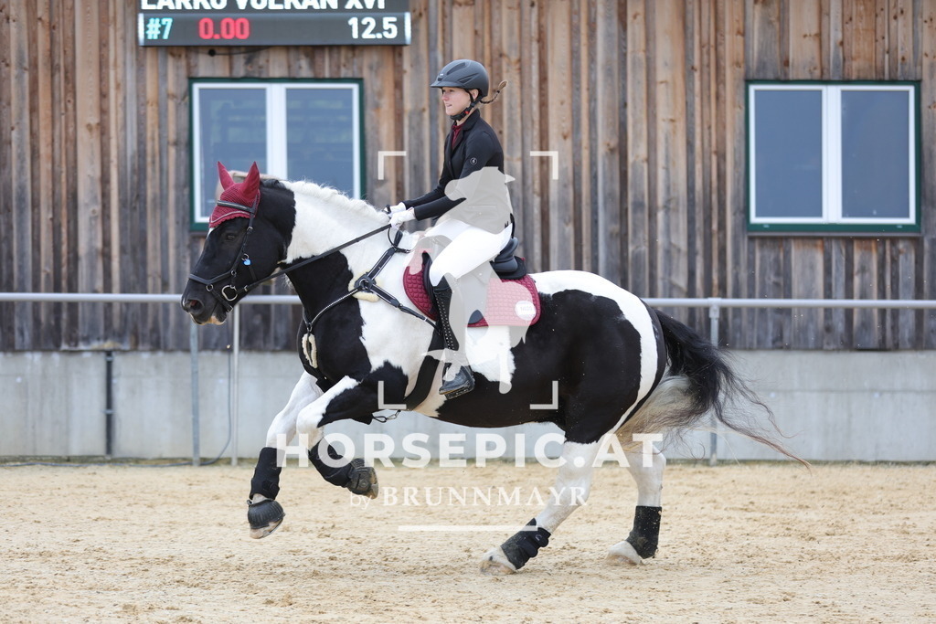 0P6A1106 | Willkommen bei Brunnmayr - Design & Fotografie – Ihrem Spezialisten für Reitturniere und Pferdeveranstaltungen in Oberösterreich, Salzburg und Bayern! Seit über 17 Jahren sind wir leidenschaftlich dabei.