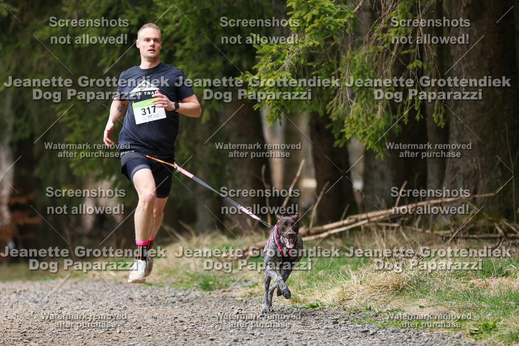 Dog Paparazzi - VCC26-429 | Dog Paparazzi Jeanette Grottendiek Fotografie & Videografie - Realisiert mit Pictrs.com