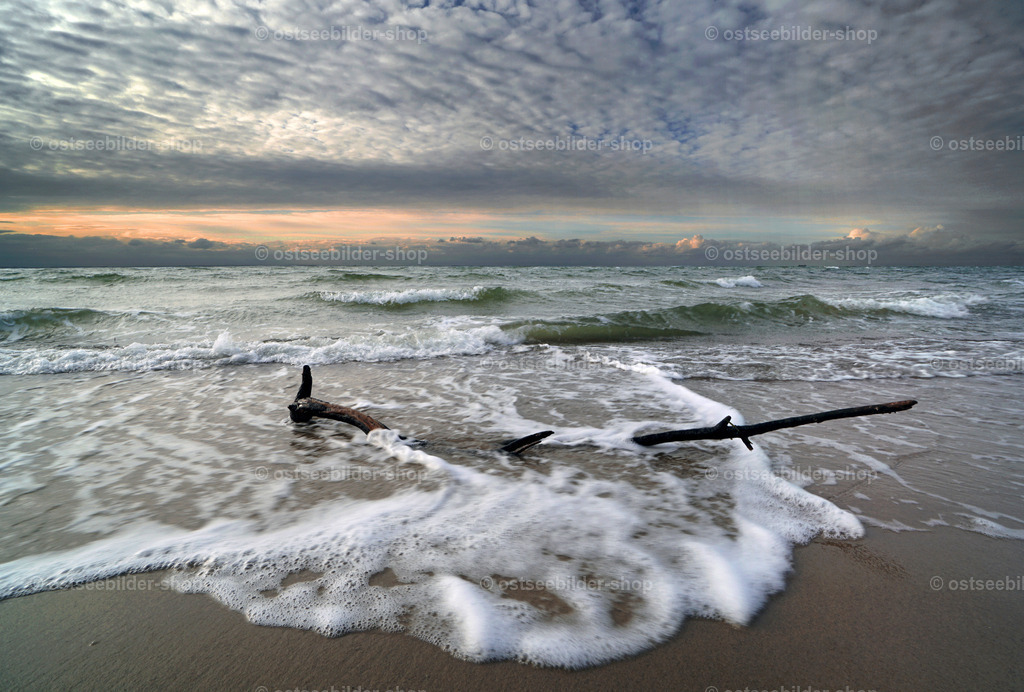 Weich gestrandet | Am Strand auslaufende Wellen tragen ein Stück Treibholz an Land.