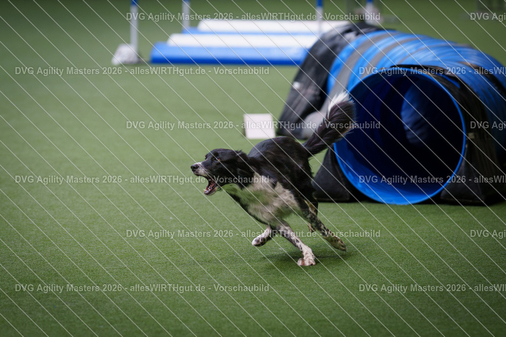 allesWIRTHgut_Tierfotografie-DVG_Agility_Masters_2026-10_54-7R500825 | Professionelle Tierfotografie in Mönchengladbach von Daniel Wirth (allesWIRTHgut). Liebevolle & natürliche Bilder von Hunden & Katzen für unvergessliche Erinnerungen.
