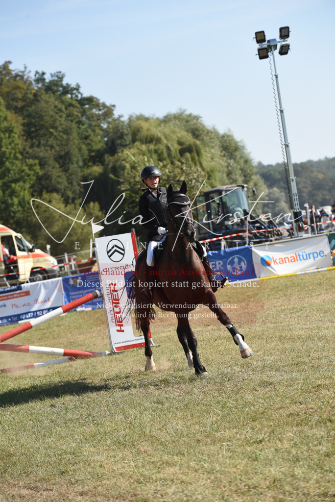DSC_6007 | Pferde- und Turnierfotografie in Westsachsen. Pferdeportraits, Auftragszeichnungen und intuitive Kunst.