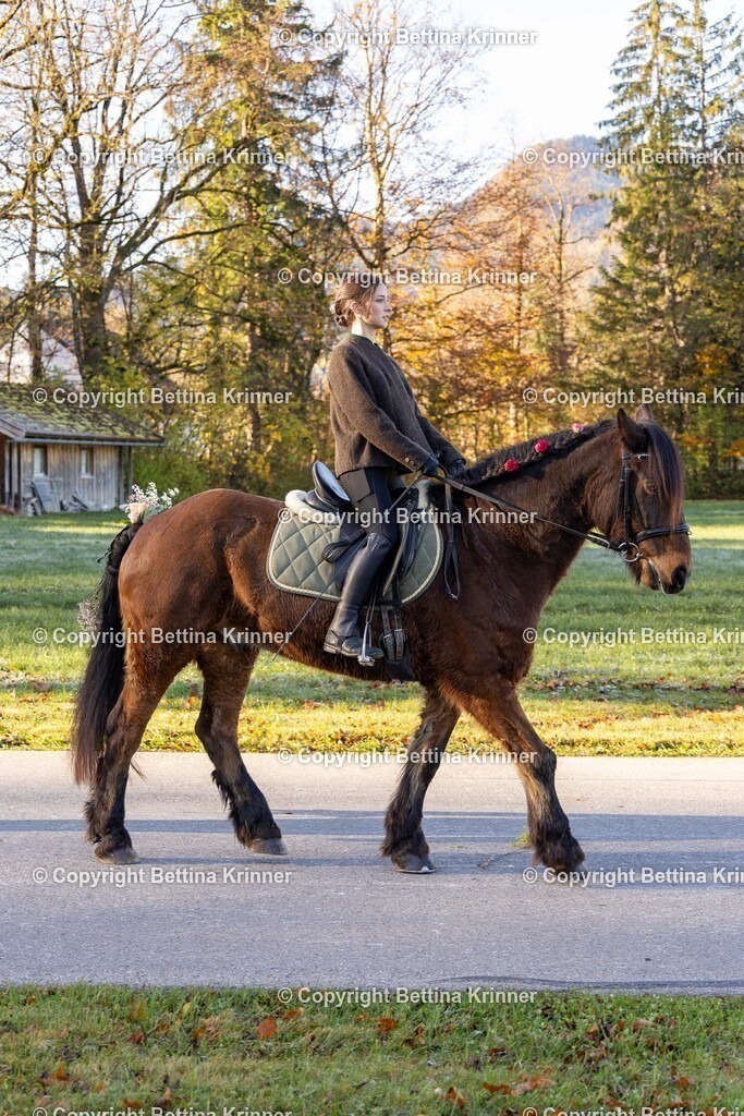 LL24-376 | foto-bettina-krinner - Realisiert mit Pictrs.com