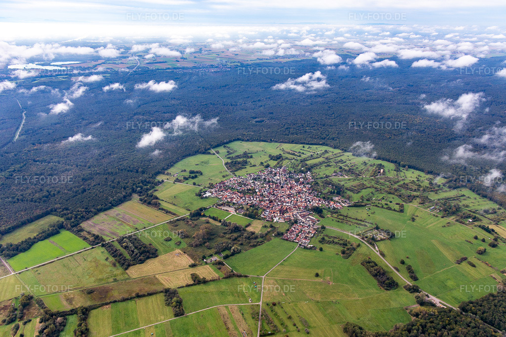Luftbild: Eine Insel im Bienwald unter Wolken im Ortsteil Büchelberg in Wörth im Bundesland Rheinland-Pfalz in Deutschland. Foto: IMG_143618.jpg vom 06.10.2024 durch Werner Riehm/FLY-FOTO.de