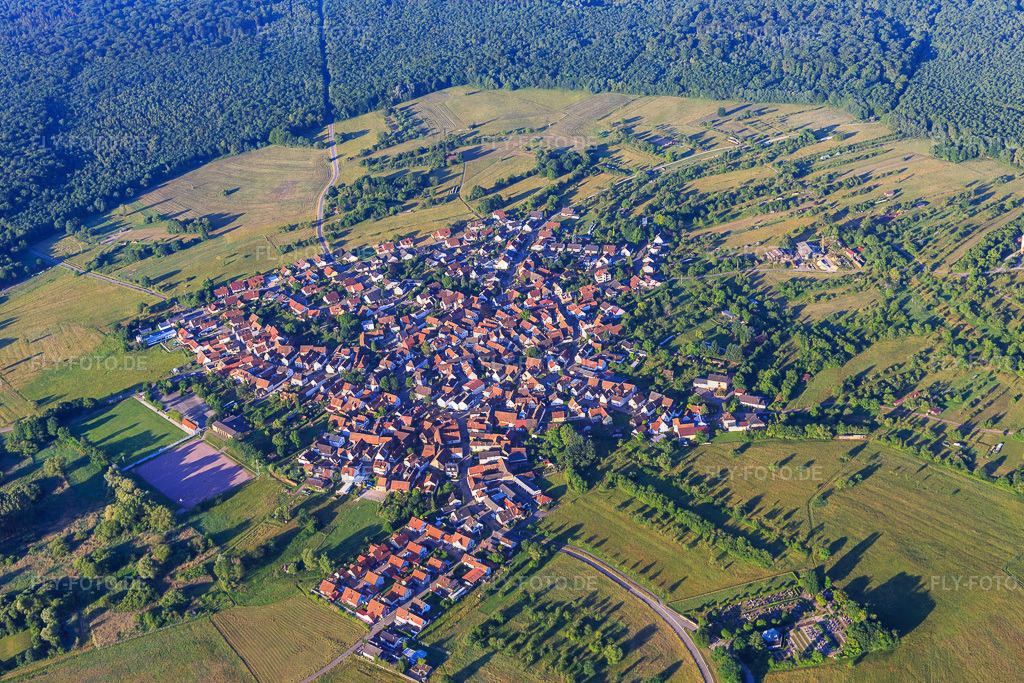 Dorfanschti in einer Waldlichtung des Bienwalds | Luftbild: Dorfanschti in einer Waldlichtung des Bienwalds im Ortsteil Büchelberg in Wörth im Bundesland Rheinland-Pfalz in Deutschland. Foto: IMG_100940.jpg vom 17.06.2017 durch Werner Riehm/FLY-FOTO.de - Realisiert mit Pictrs.com