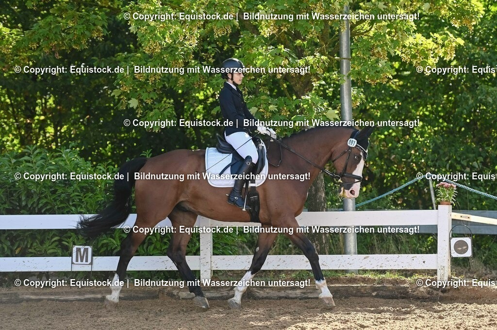 20230716_04_Dressurreiterprüfung Kl.A_0140 | equistock