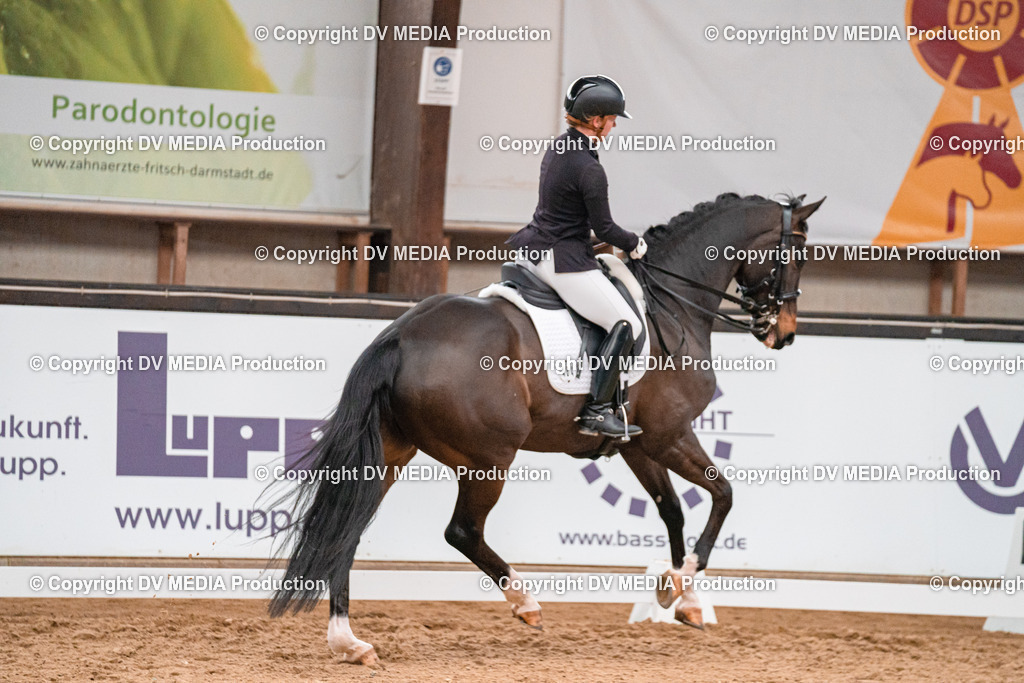 Kranichstein Tag 1-318 | dv-media-shop - Realisiert mit Pictrs.com