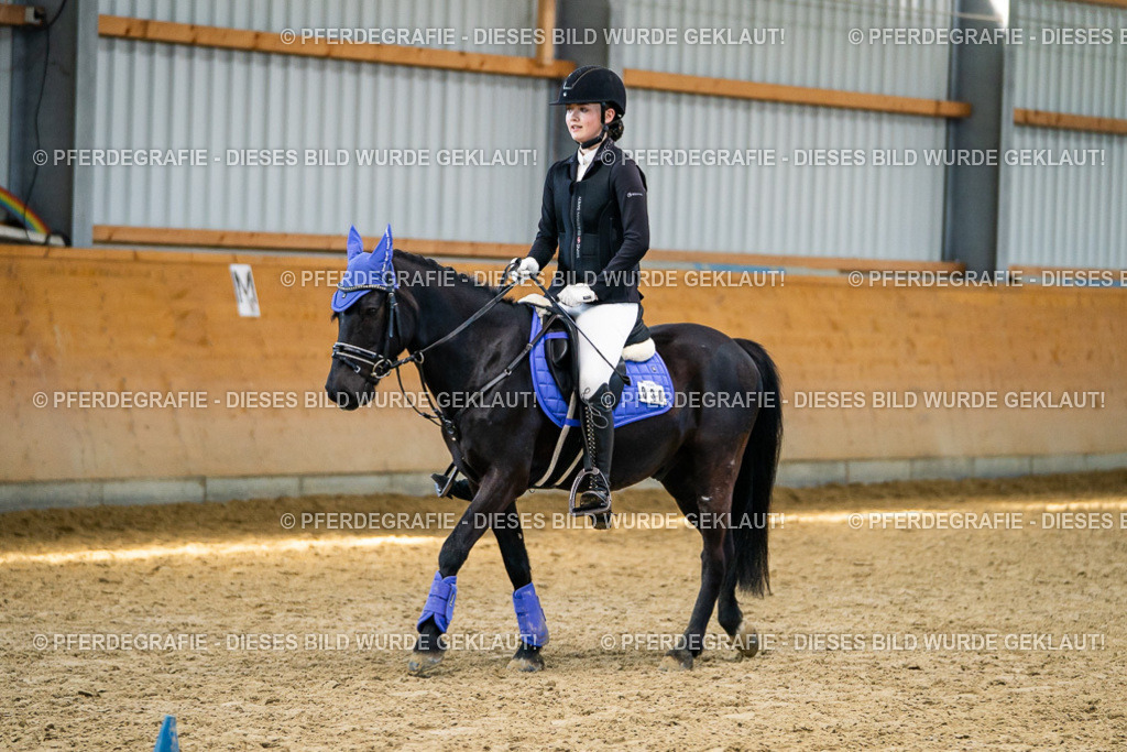 DSC01235 | Pferdegrafie