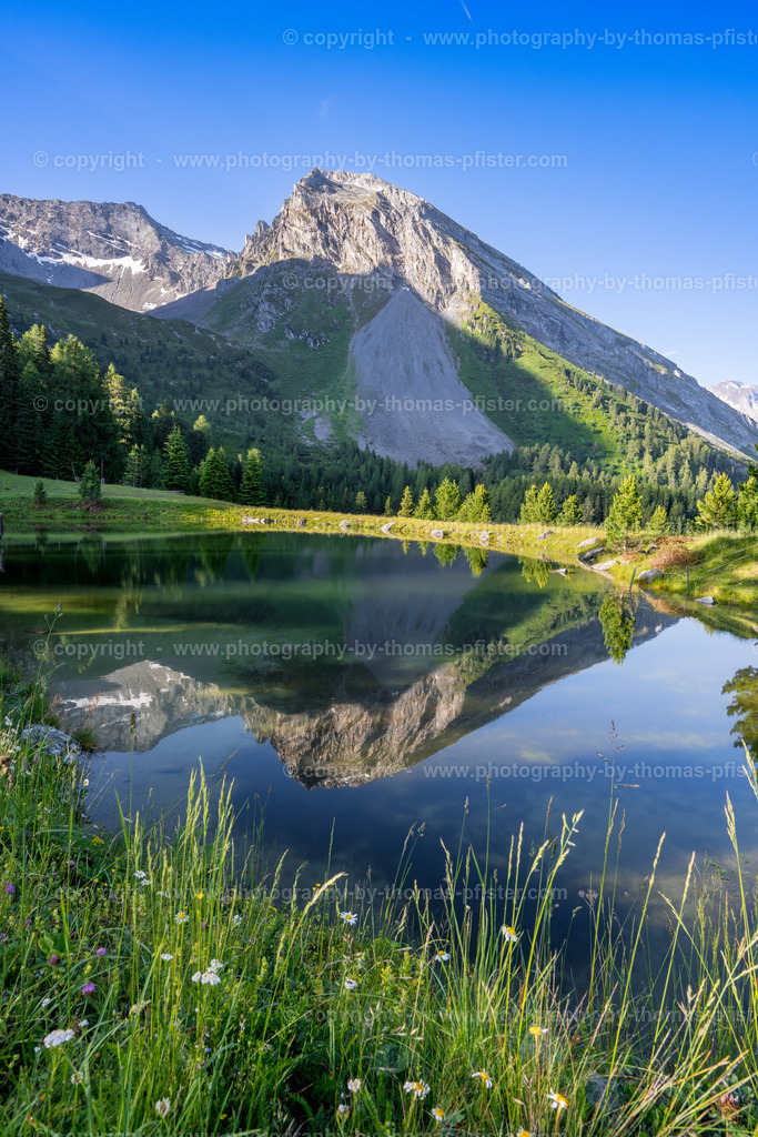 Grieralm Frühling copyright  Thomas Pfister-4 | PHOTOGRAPHY BY THOMAS PFISTER