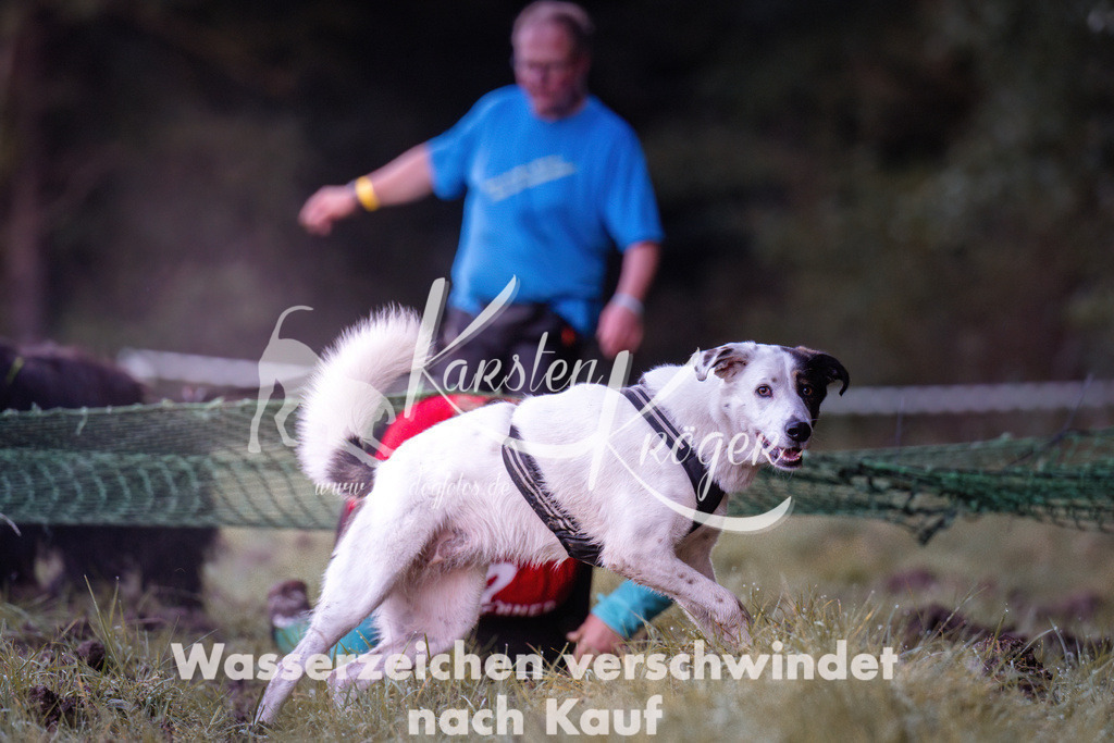 0815_ZZ90035 | kk-dogfotos