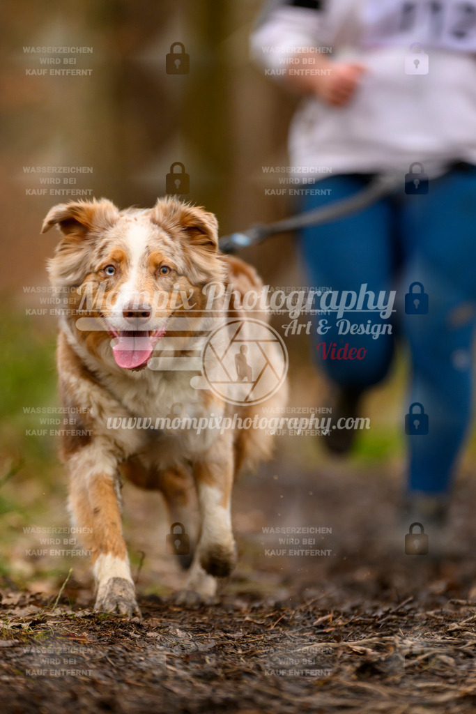 MompixPhotography_CDSM24_SA_Fun-24 | PayLife
