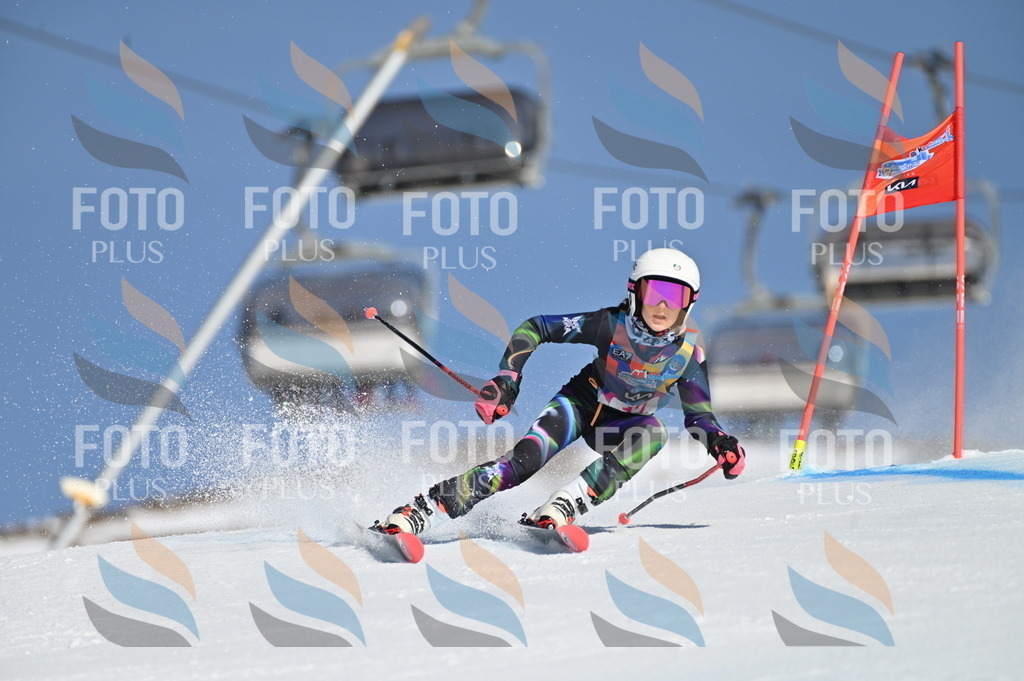 BGV_7790 | holidayphoto