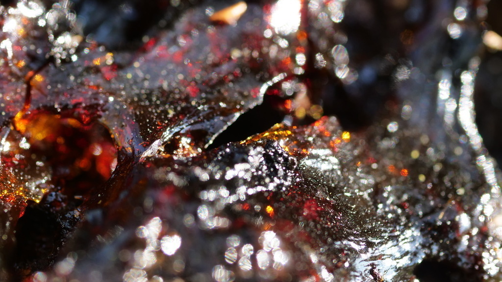 P1077078 | klausulrichmoeller