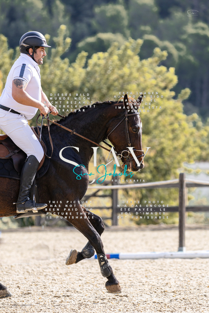 IMG_5837 | s-jay-photography - Realisiert mit Pictrs.com