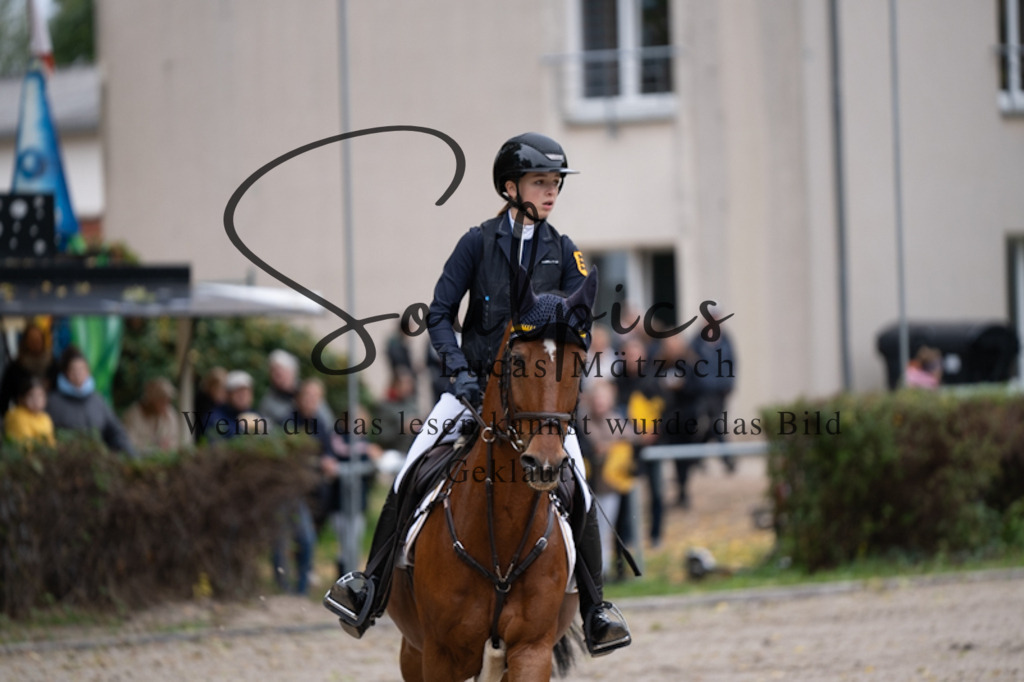 A7V01069 | Pferdefotograf