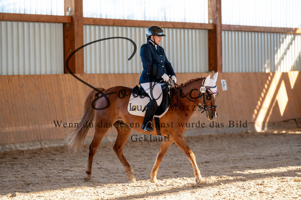 A7V01752 | Turnier/Reitfotograf