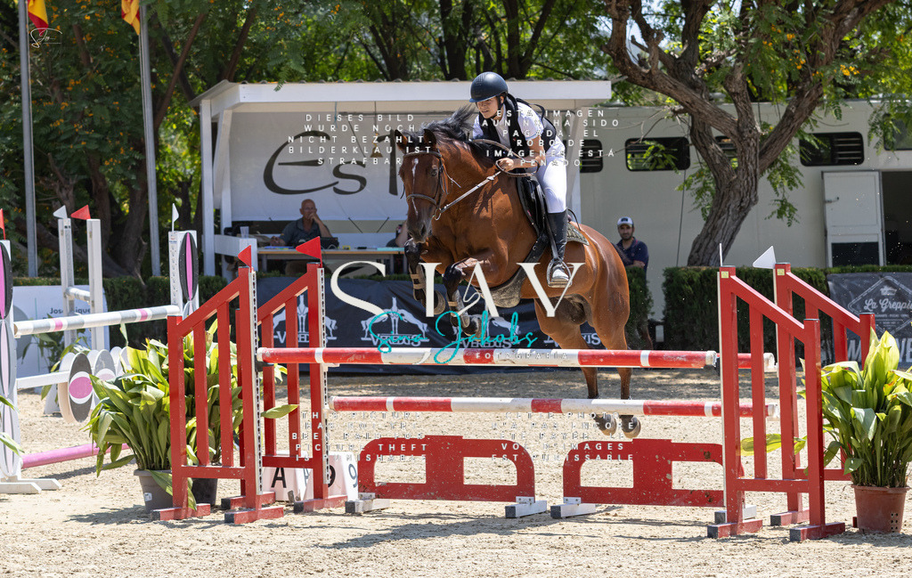 IMG_7511 | s-jay-photography - Realisiert mit Pictrs.com