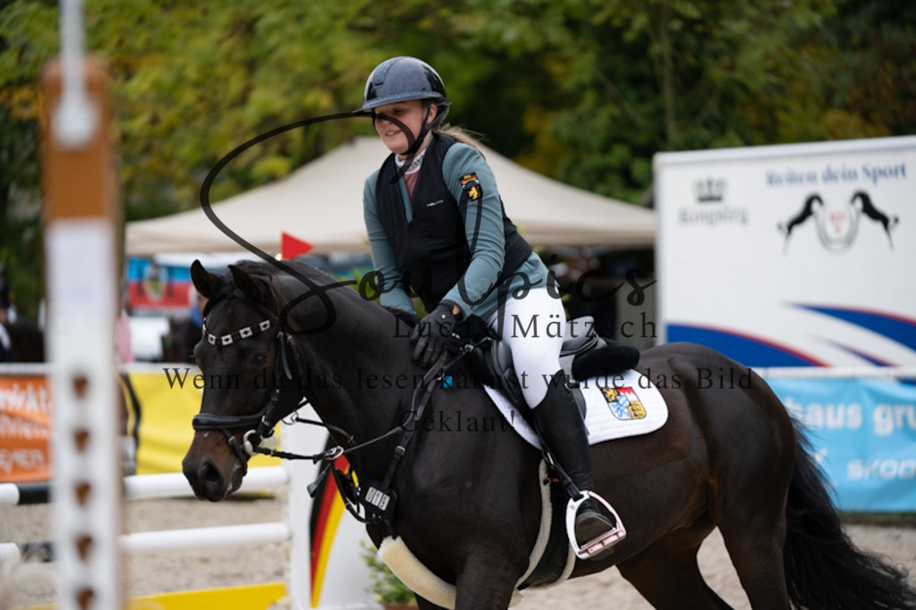 A7V00127 | Pferdefotograf